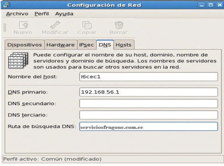 Configuracion de la red DNS